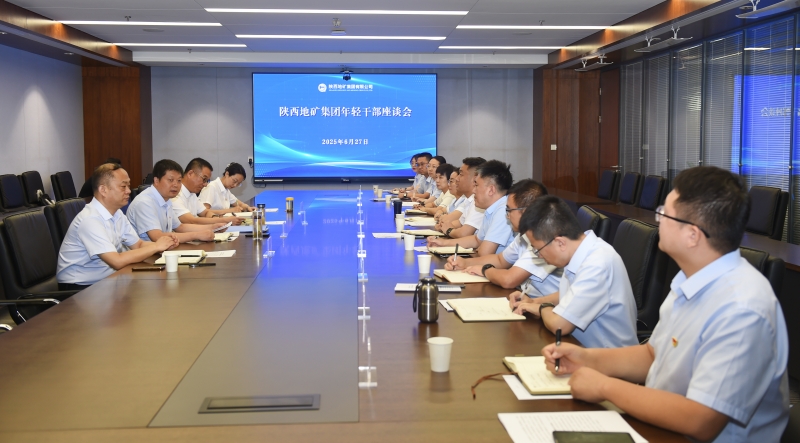 陜西地礦集團召開年輕干部座談會